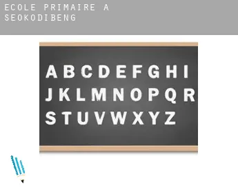 École primaire à  Seokodibeng