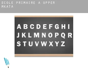 École primaire à  Upper Mkata