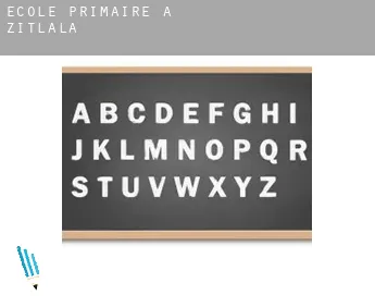 École primaire à  Zitlala