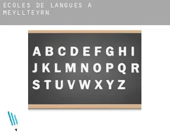 Écoles de langues à  Meyllteyrn