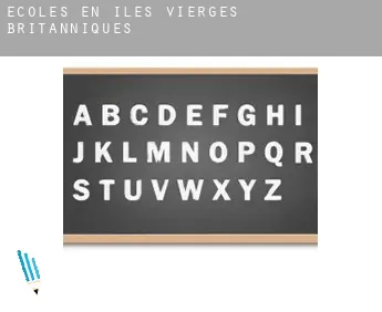Écoles en  Îles Vierges britanniques