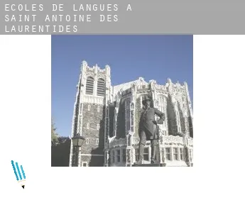 Écoles de langues à  Saint-Antoine-des-Laurentides