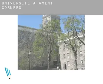 Universite à  Ament Corners