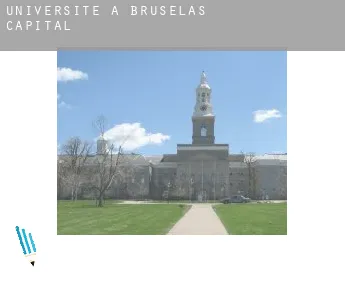 Universite à  Bruxelles-Capitale