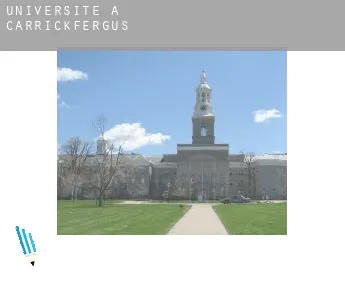 Universite à  Carrickfergus