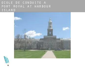 École de conduite à  Port Royal at Harbour Island