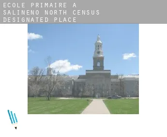 École primaire à  Salineno North
