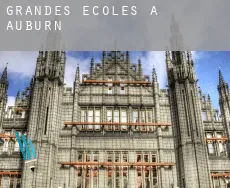 Grandes écoles à Auburn