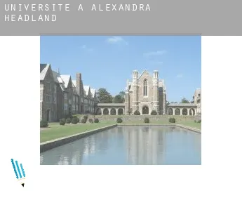 Universite à  Alexandra Headland