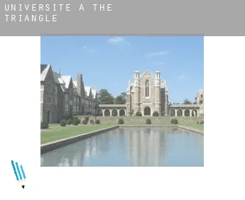 Universite à  The Triangle