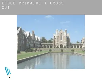 École primaire à  Cross Cut
