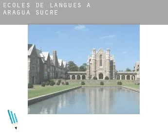 Écoles de langues à  Municipio Sucre (Aragua)