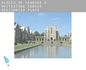 Écoles de langues à  Whitestone