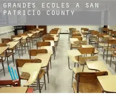 Grandes écoles à  San Patricio