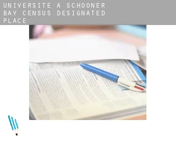 Universite à  Schooner Bay