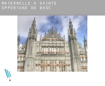 Maternelle à  Sainte-Opportune-du-Bosc