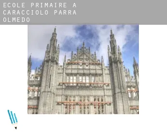 École primaire à  Municipio Caracciolo Parra Olmedo