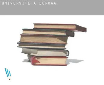 Universite à  Borowa