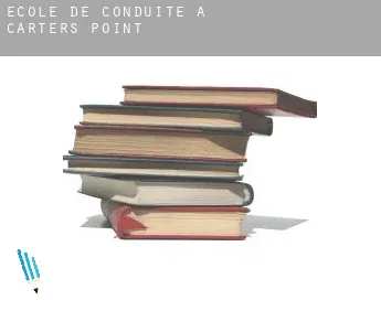 École de conduite à  Carters Point