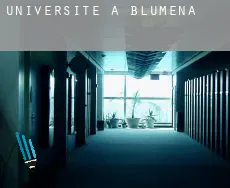 Universite à  Blumenau