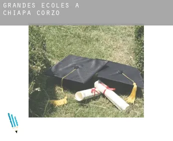 Grandes écoles à  Chiapa de Corzo