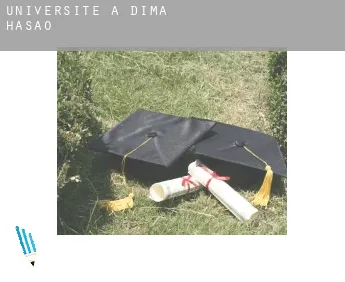 Universite à  Dima Hasao