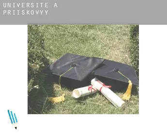Universite à  Priiskovyy