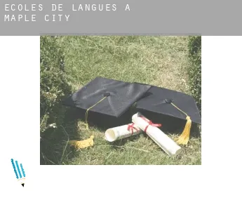 Écoles de langues à  Maple City