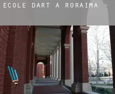 École d'art à  Roraima