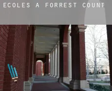 Écoles à Forrest