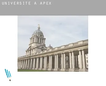 Universite à  Apex