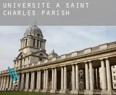 Universite à  Saint Charles
