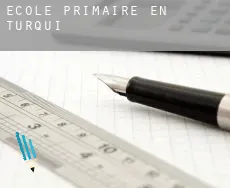 École primaire en Turquie