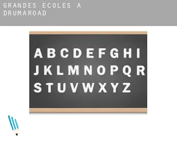 Grandes écoles à  Drumaroad