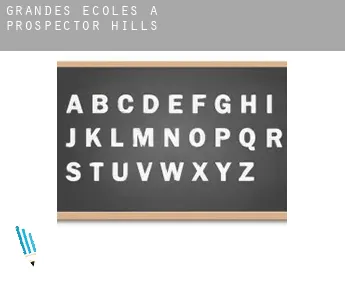 Grandes écoles à  Prospector Hills