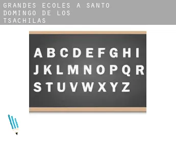 Grandes écoles à  Santo Domingo de los Tsachilas