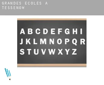 Grandes écoles à  Tessenow