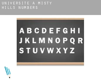 Universite à  Misty Hills Numbers 8-10