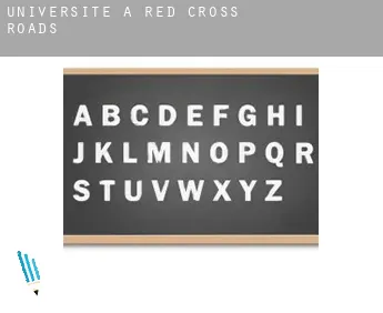 Universite à  Red Cross Roads