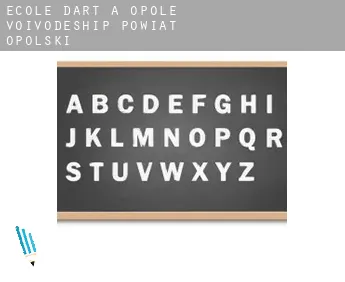 École d'art à  Powiat opolski (Opole Voivodeship)