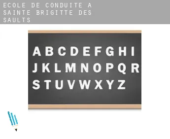 École de conduite à  Sainte-Brigitte-des-Saults