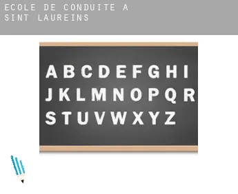 École de conduite à  Sint-Laureins