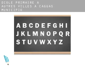 École primaire à  Autres Villes à Caguas Municipio