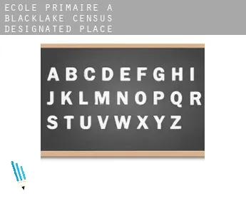 École primaire à  Blacklake