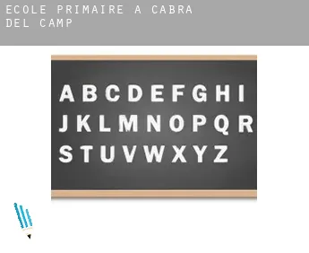 École primaire à Cabra del Camp