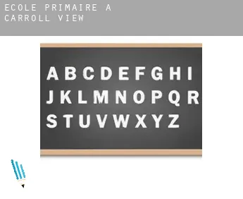 École primaire à  Carroll View