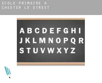 École primaire à Chester-le-Street