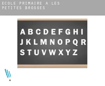 École primaire à  Les Petites Brosses