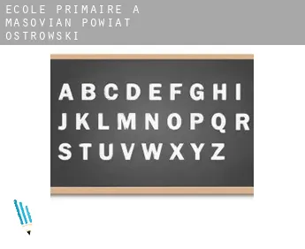 École primaire à  Powiat ostrowski (Masovian Voivodeship)