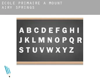 École primaire à  Mount Airy Springs